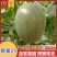 【哈密瓜】海南晓蜜25哈密瓜产地直发品质保障量大从优对接