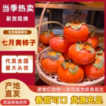 陕西大荔县火葫芦柿子万亩基地现摘现发规格齐全品质好