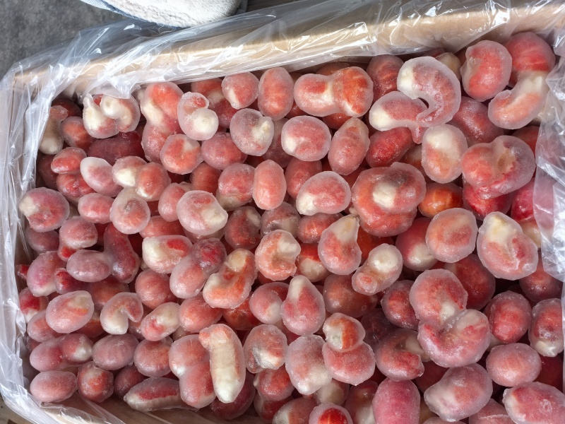 宣虾汇特惠产品九斤装