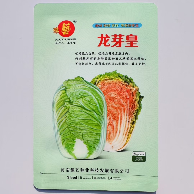 龙芽皇白菜种子桔红心白菜种子特色优质白菜种子秋季大白菜种