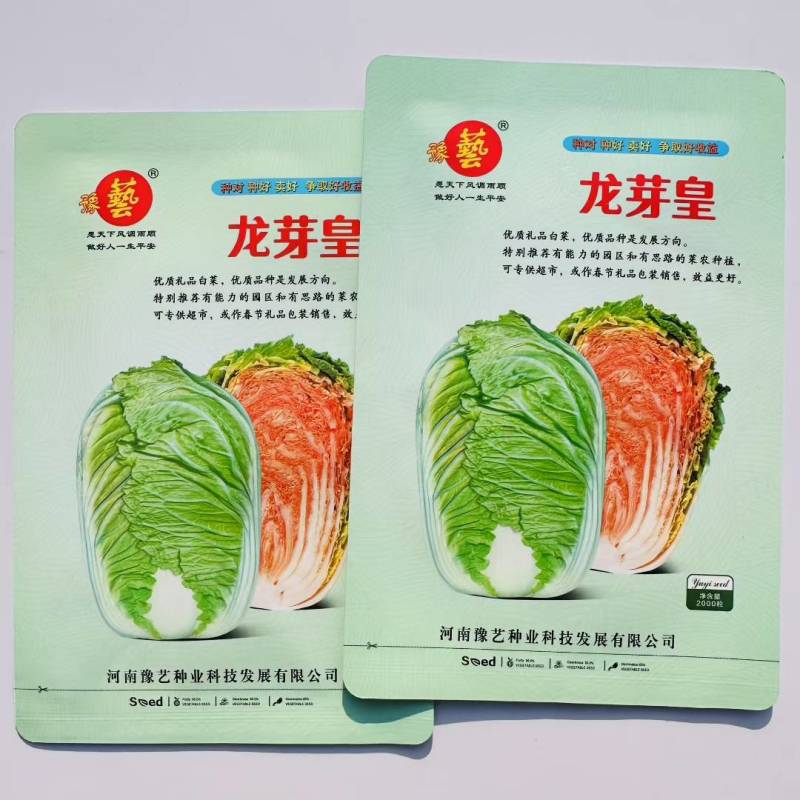 龙芽皇白菜种子桔红心白菜种子特色优质白菜种子秋季大白菜种