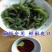 儿童海葡萄新鲜即食绿色鱼子酱长寿菜零食海带海藻100g