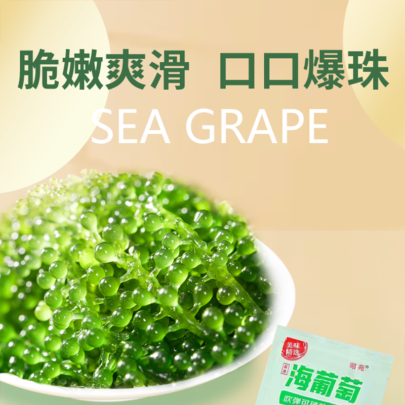 儿童海葡萄新鲜即食绿色鱼子酱长寿菜零食海带海藻100g