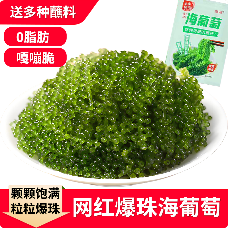 儿童海葡萄新鲜即食绿色鱼子酱长寿菜零食海带海藻100g