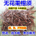 野生无花果根须树根中药材威海特产野生无花果纯根干货