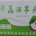 荔浦芋头