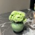大花绿巴黎长寿花重瓣多肉植物办公室阳台客厅绿植花卉小盆栽好养