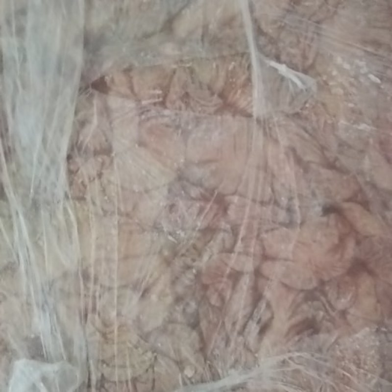 肥肠
