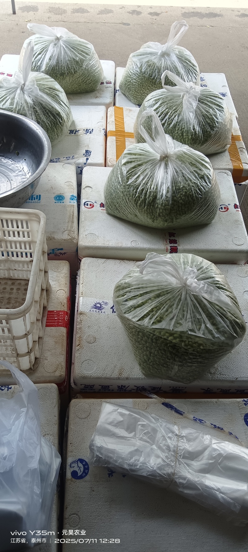 精品翠绿宝毛豆米