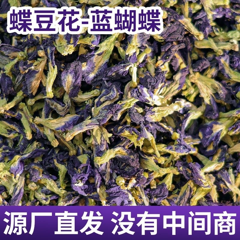 大货碟豆花干花泰国蓝蝴蝶花云南变色花