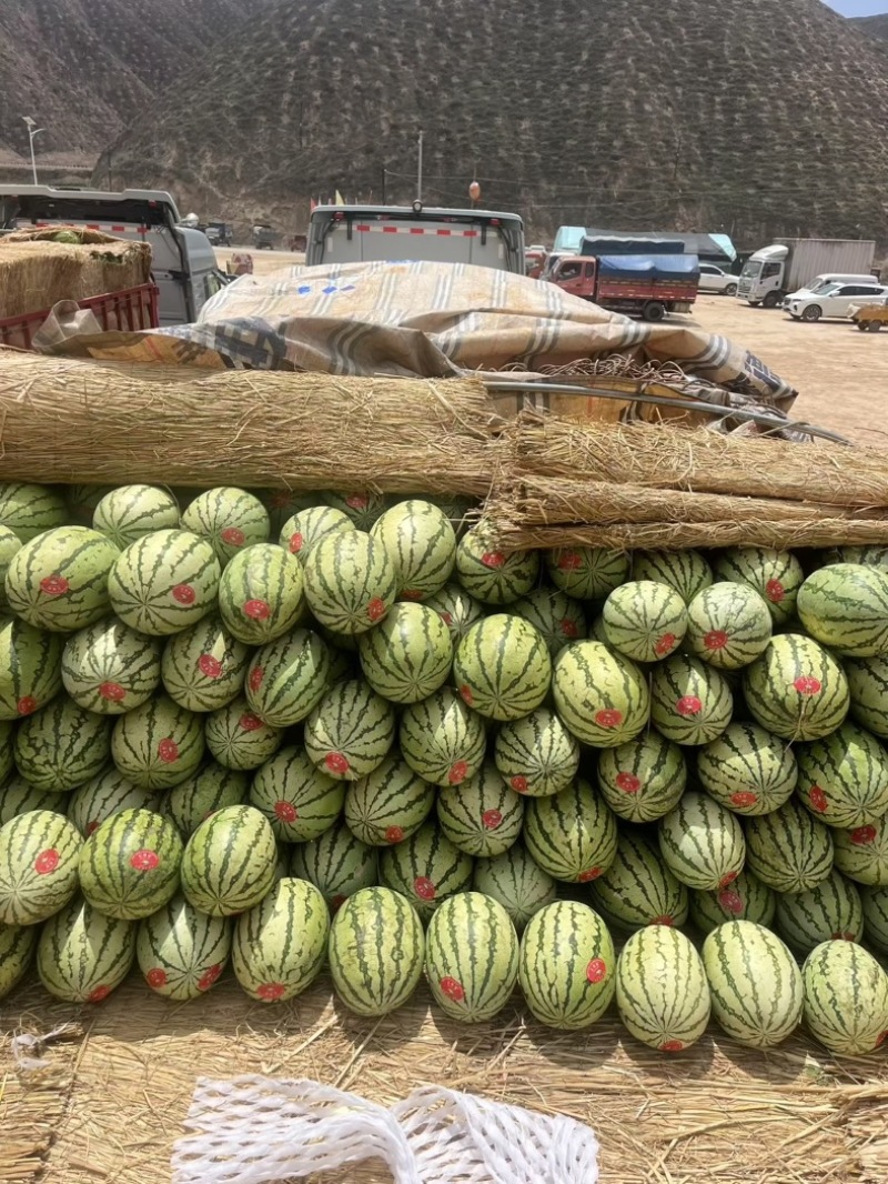石头瓜🍉
