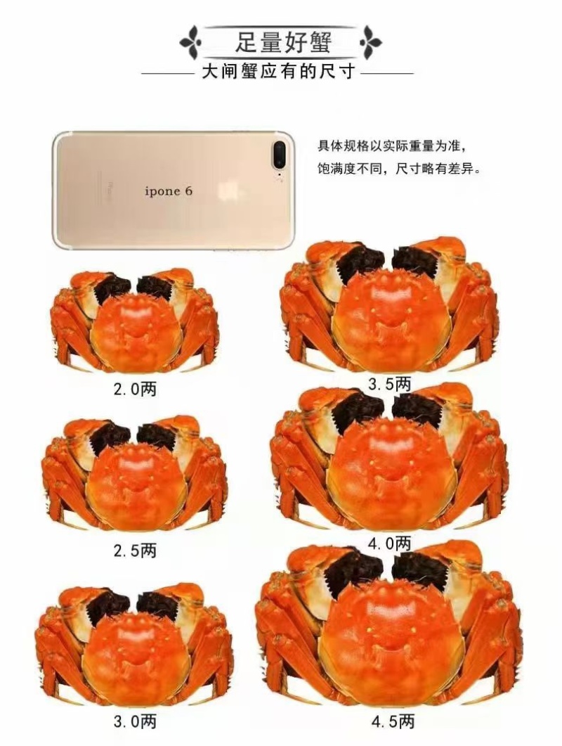 阳澄湖大闸蟹礼盒