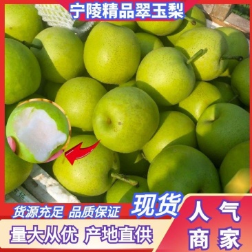 1推荐宁陵翠冠梨青皮梨圆黄梨一手货源价格实惠供全国发