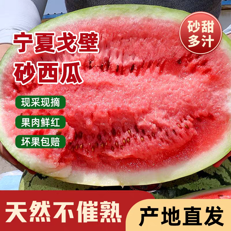 《宁夏西瓜》硒砂瓜/石头瓜/产地货源/全国供应批发