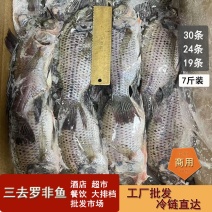 三去罗非鱼7斤装新鲜速冻罗非鱼水产冻品货源批发