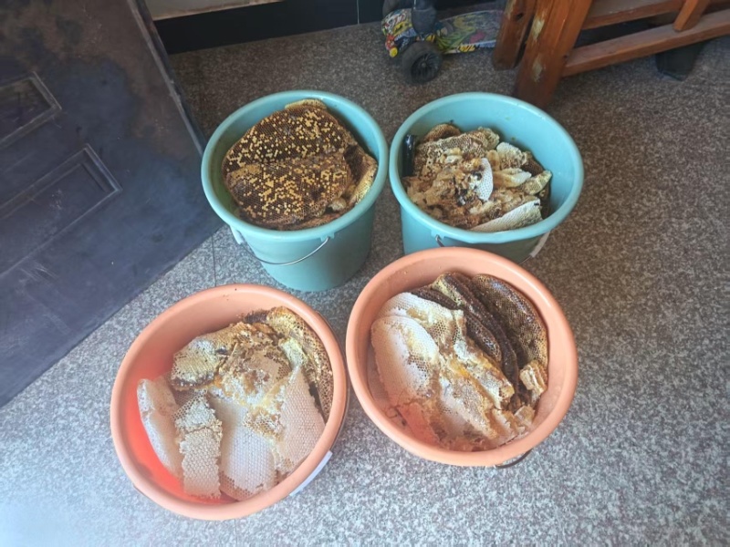 【自产自销】福建深山百花蜂蜜赠送试用装不满意可退