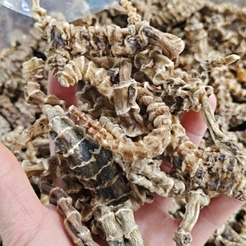 虫草参