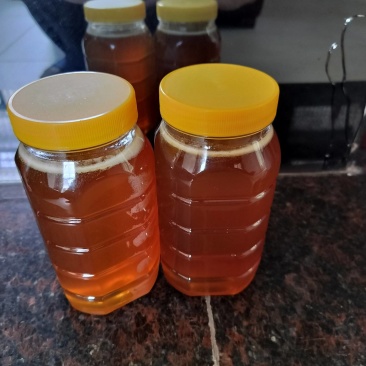土蜂蜜