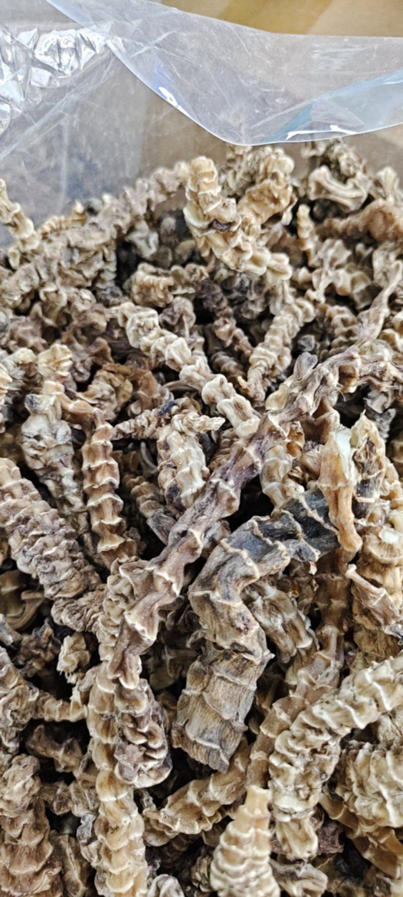 虫草参