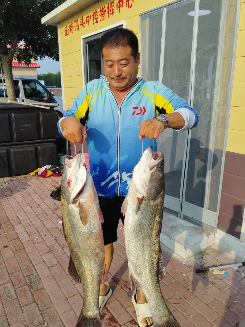 唐山海鲈鱼