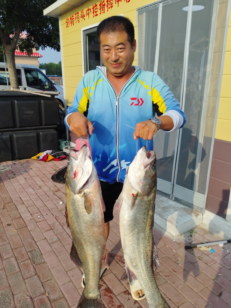 唐山海鲈鱼