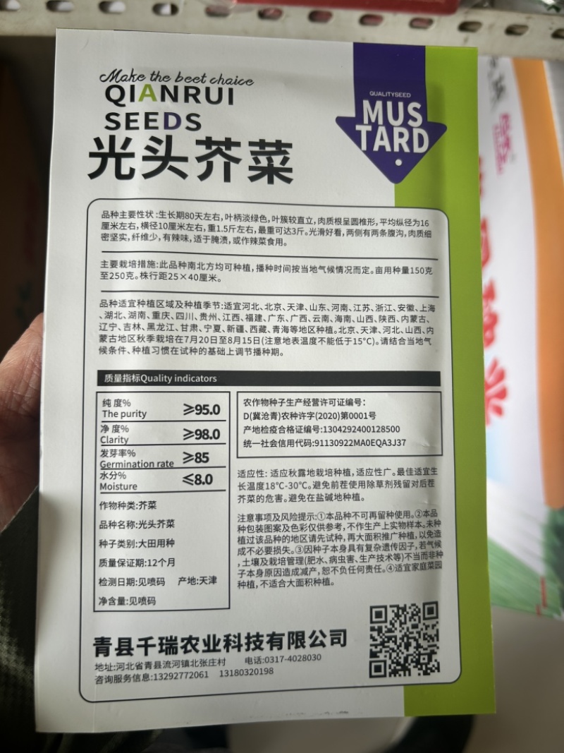 光头芥菜种子疙瘩菜种子大头菜榨菜二道眉菜农用