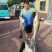 唐山海鲈鱼
