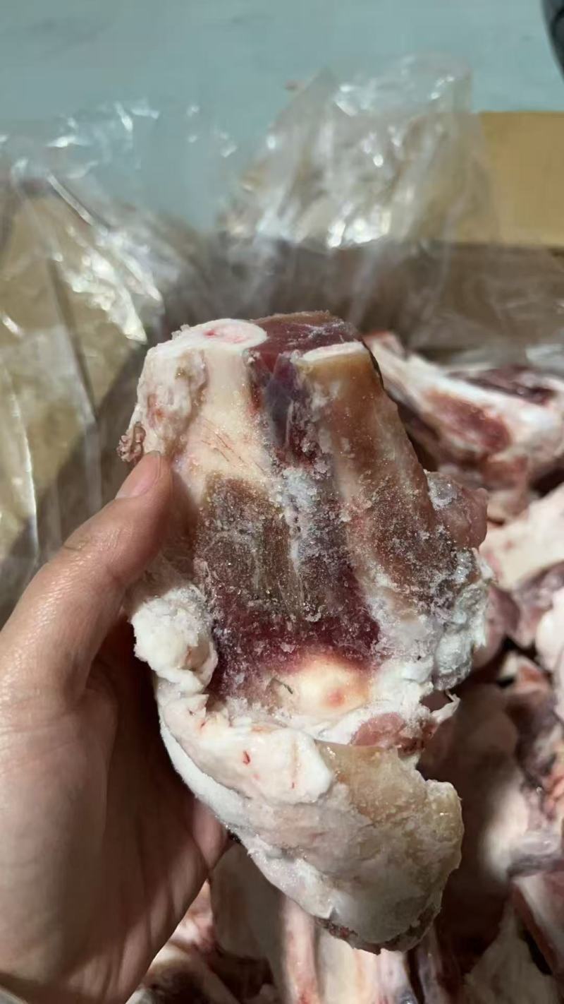 国产后肘骨块