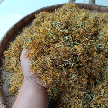 贵州金银花