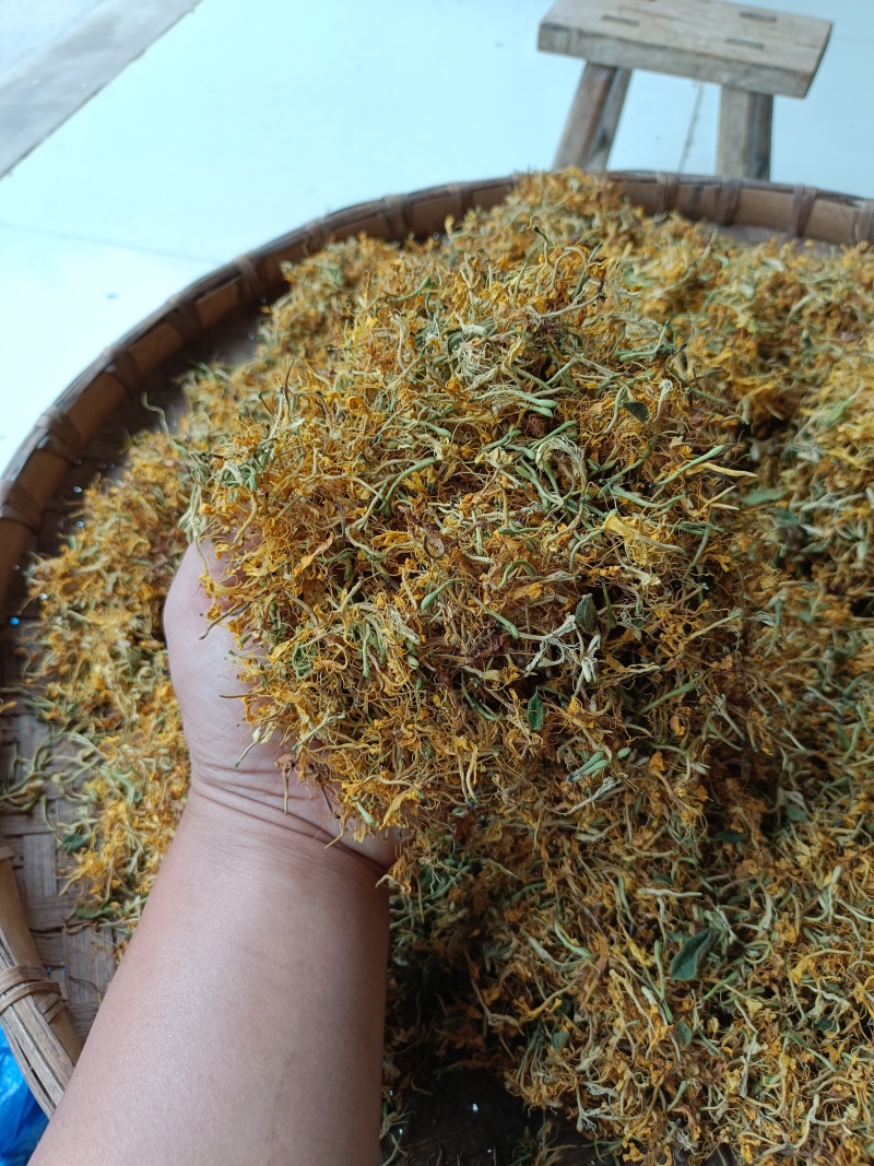 贵州金银花