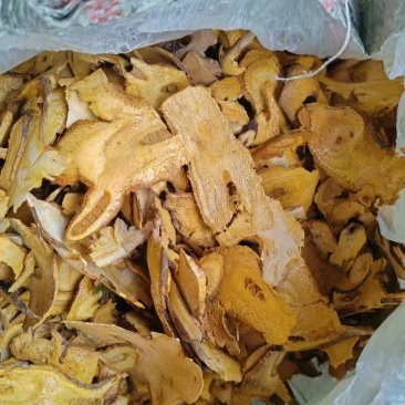 虎杖片
