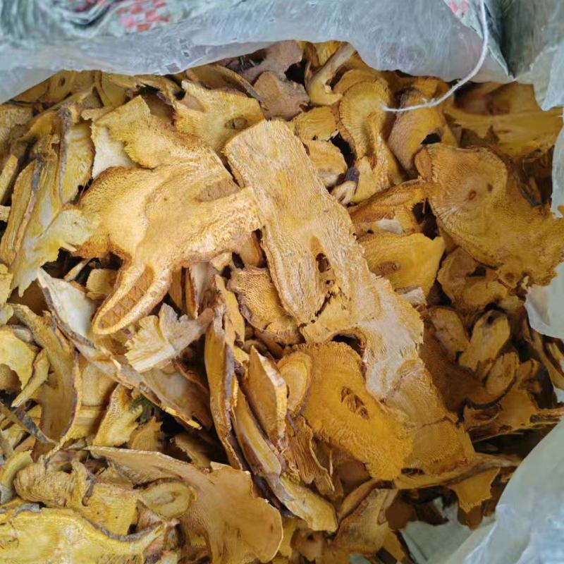 虎杖片