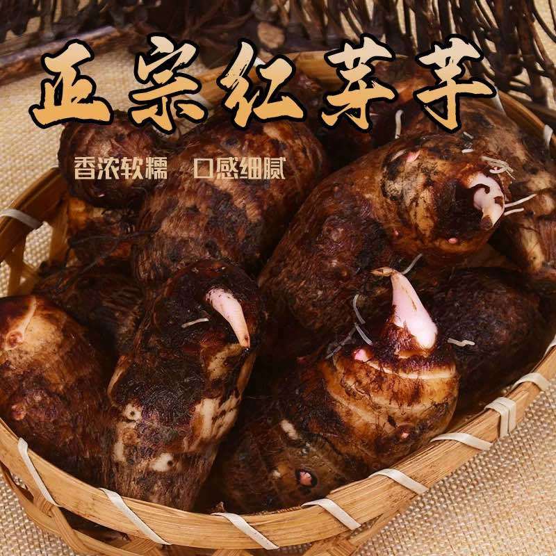 【鲜货上市】江西铅山精品红芽芋香糯可口国家地标产品