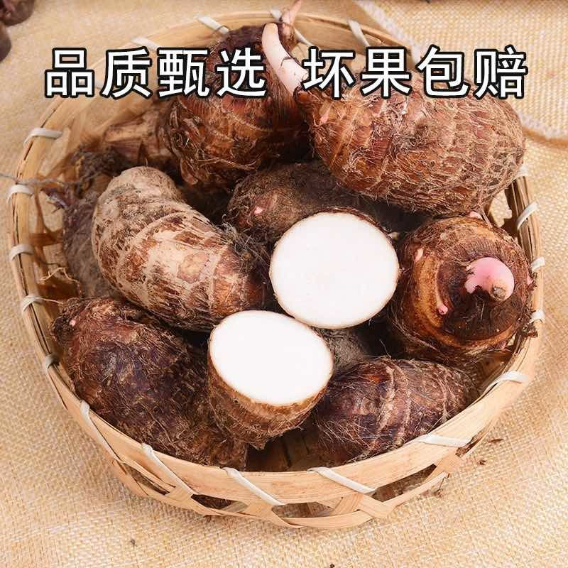 【鲜货上市】江西铅山精品红芽芋香糯可口国家地标产品