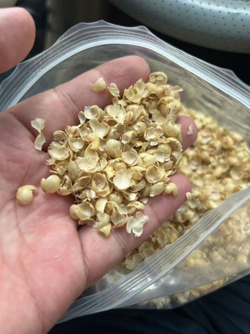 玉米胚芽粕