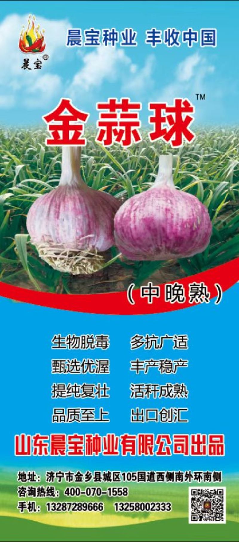 山东晨宝种苗诚招代理商