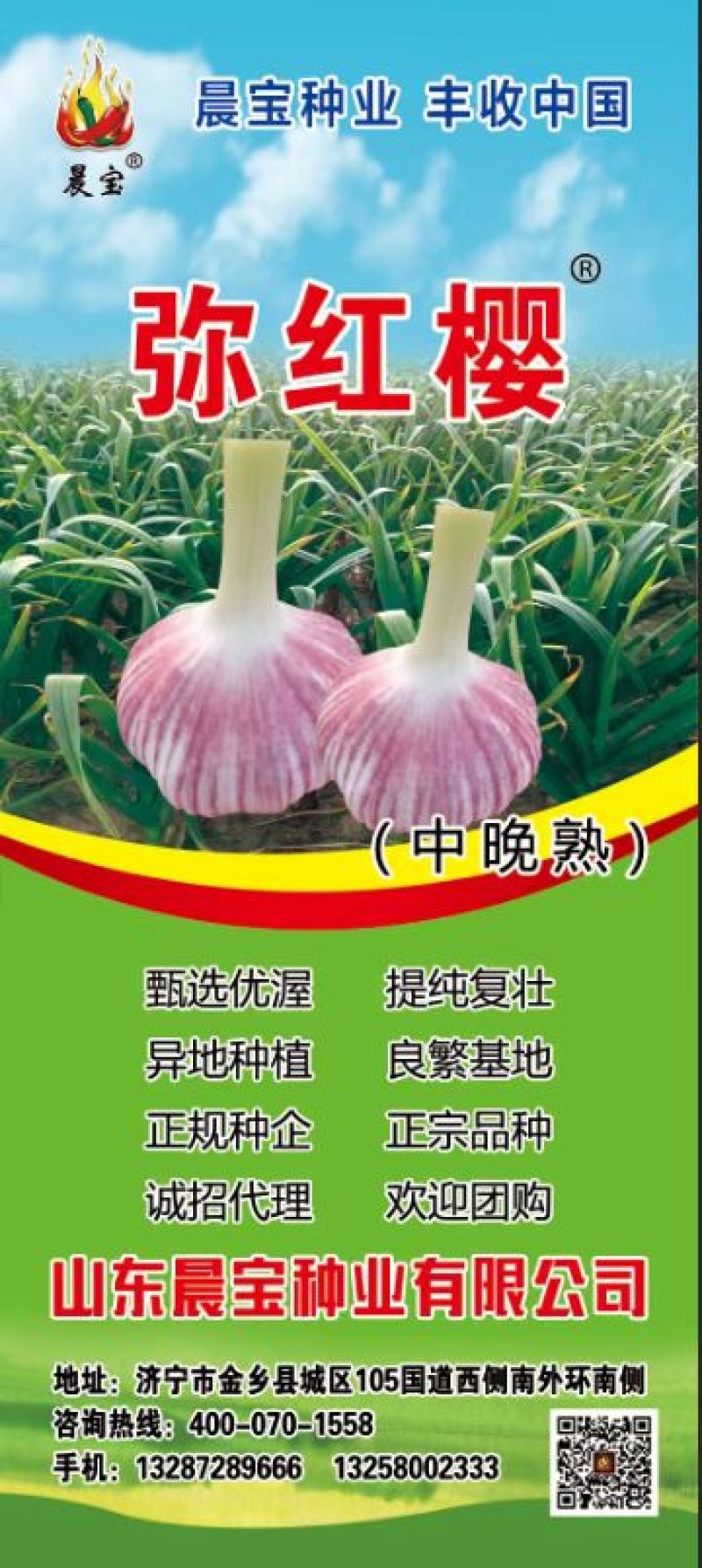 山东晨宝种苗诚招代理商