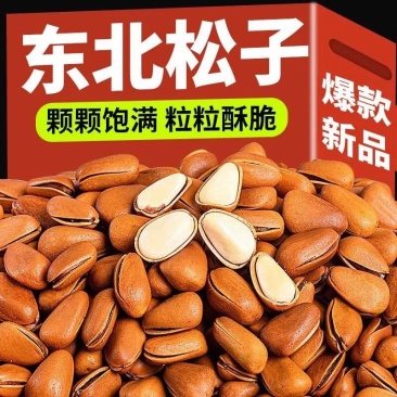特级批发大颗粒新货手剥东北开口红松子坚果零食