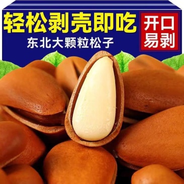 东北松子新货开口松子手剥特产批发炒货坚果干果年货零食大礼
