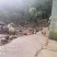 跑山母鸡