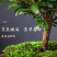 小叶赤楠盆景老桩盆栽植物办公室室内花卉桌面四季常青好养绿植