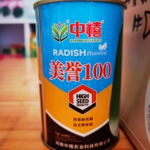 中禧种业美誉100秋季萝卜种子小顶表皮光滑肉色翠绿口感脆
