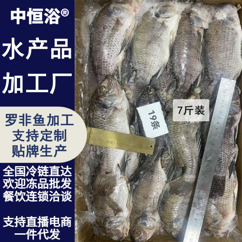 三去罗非鱼新鲜7斤装罗非鱼低温保鲜冻品商用批发