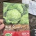 生菜苗生菜球苗球生菜苗速生生菜苗叶生生菜苗苗厂