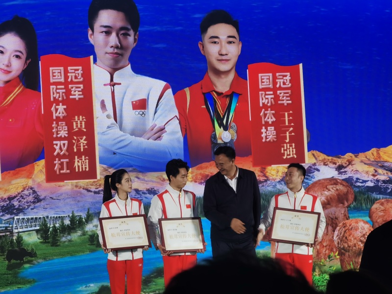 云南大理剑川东山松茸，有需要的可以电话咨询，欢迎下单
