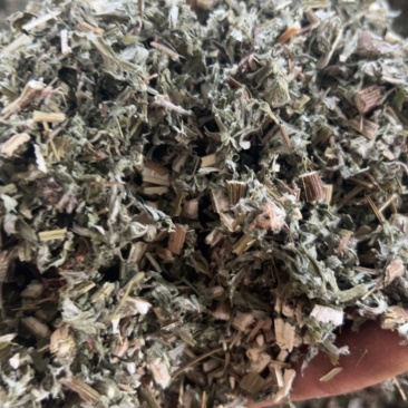 野生艾草切断