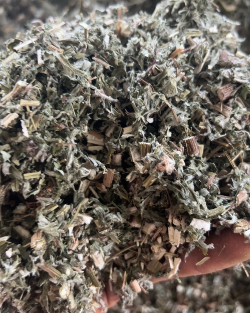 野生艾草切断