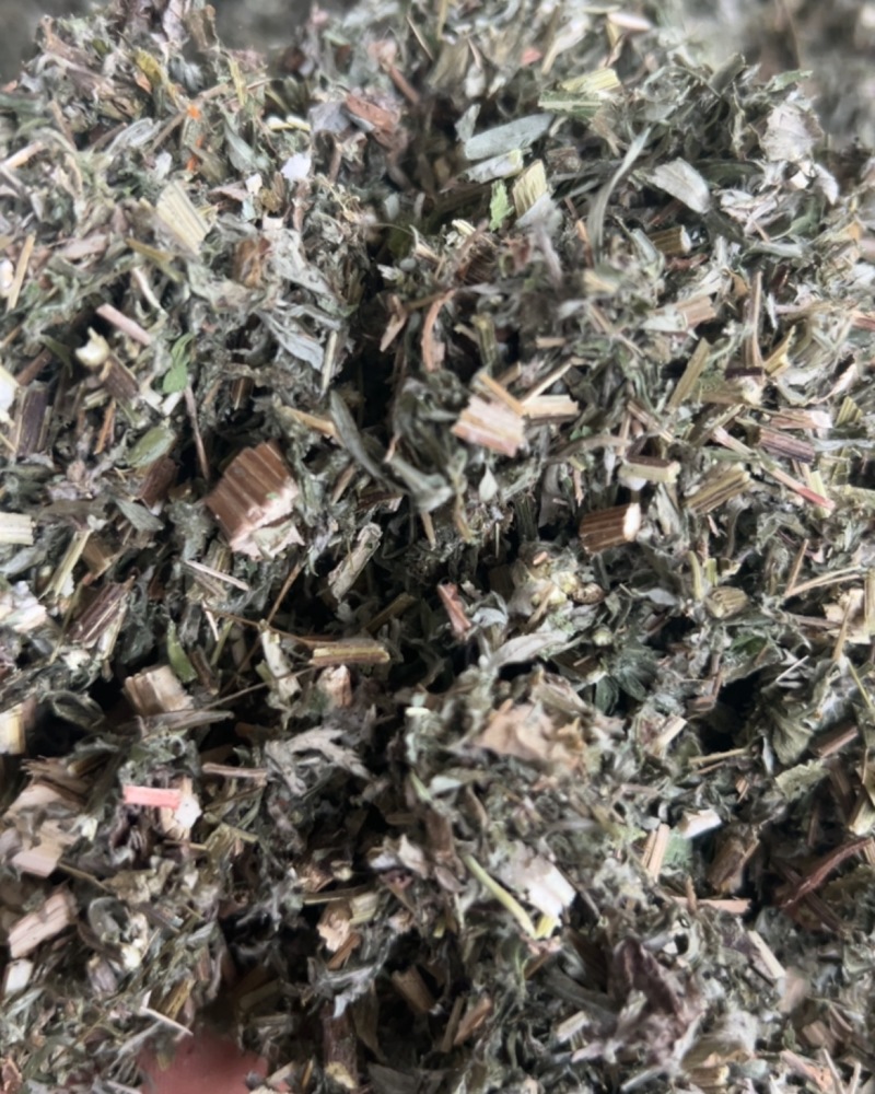 野生艾草切断