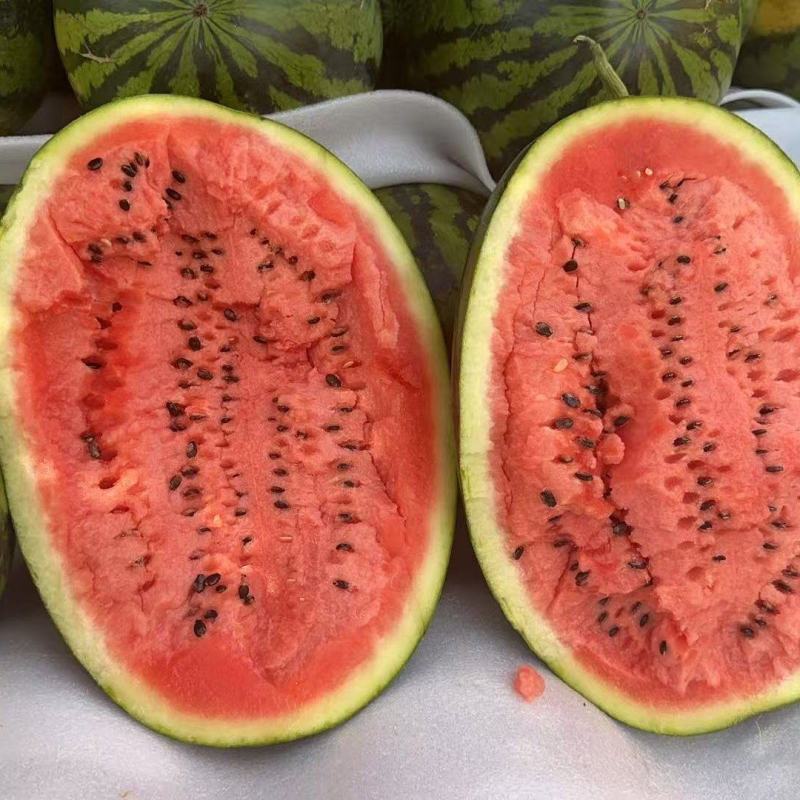 宁夏硒砂瓜