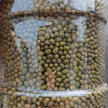 东北绿豆，商品豆食品豆